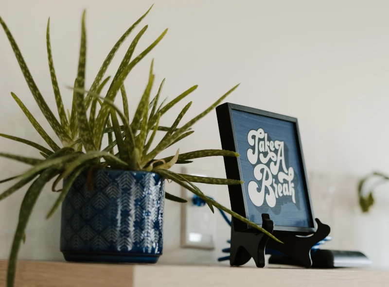 Anxiety Canada: Test Anxiety