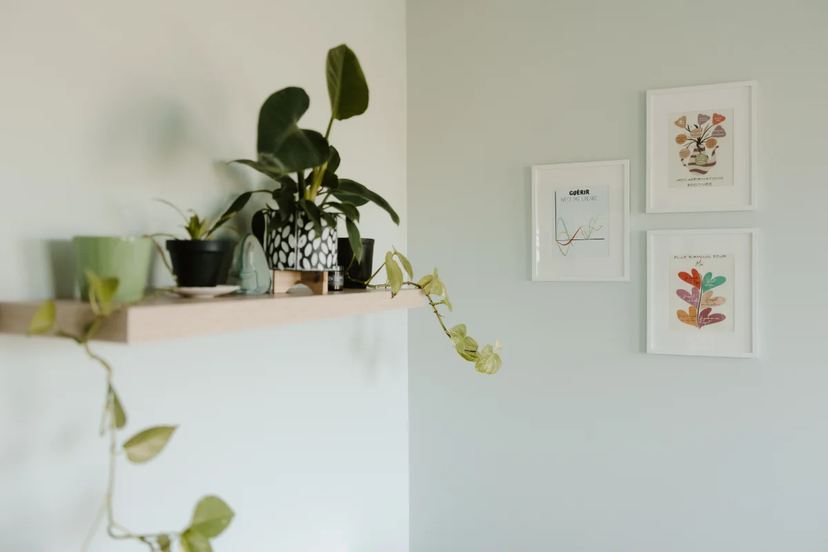 Outreach clients seen chart